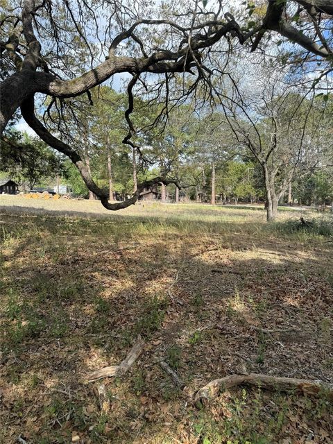 Photo of Lot 141 Pine Song, Bastrop, TX 78602 (MLS # 9956148)