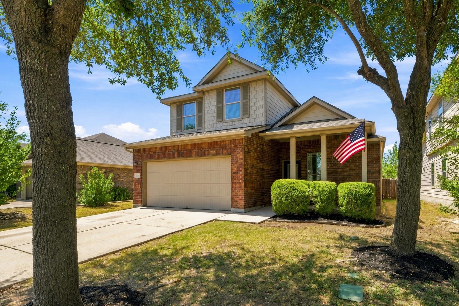 172 Housefinch LOOP
