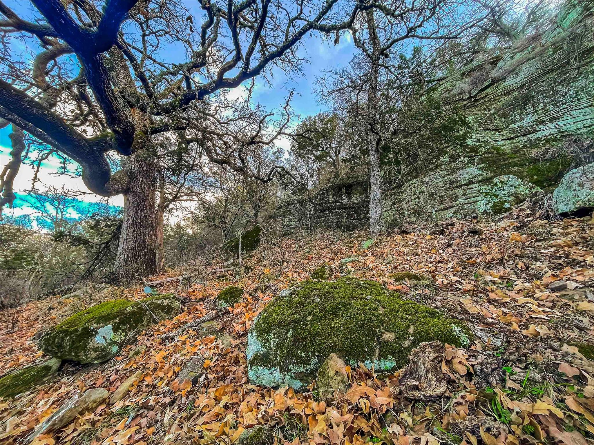 000 County Road 120