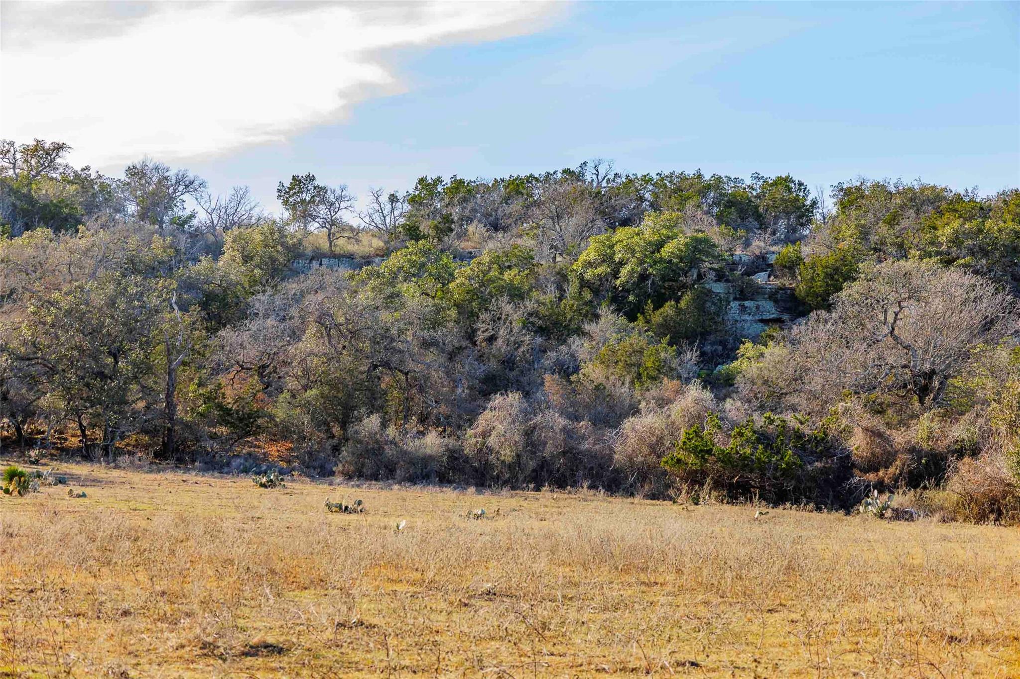 000 County Road 120