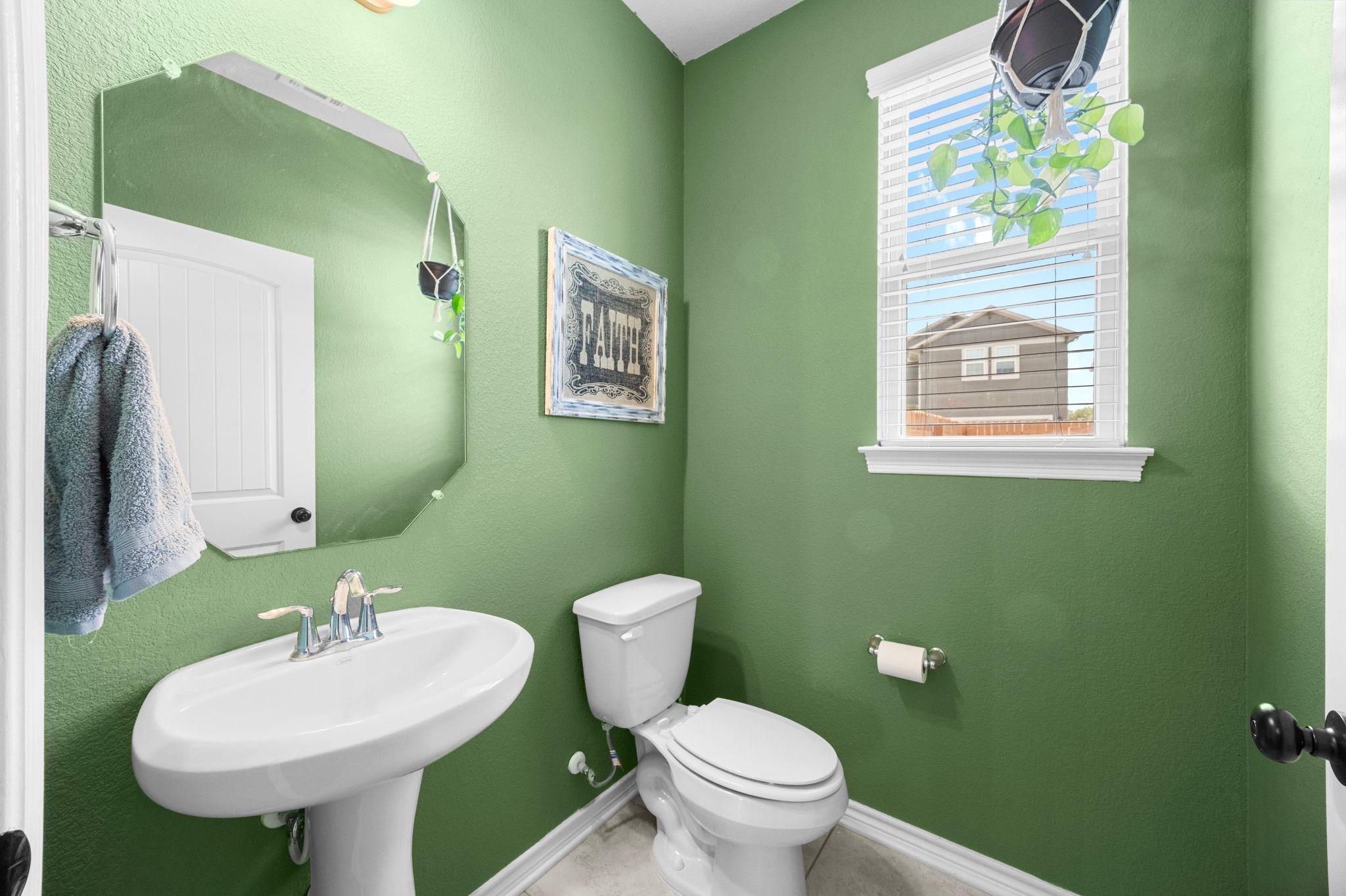 140 Spanish Foal TRL