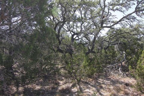 A home in Dripping Springs