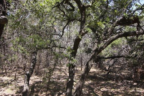 A home in Dripping Springs