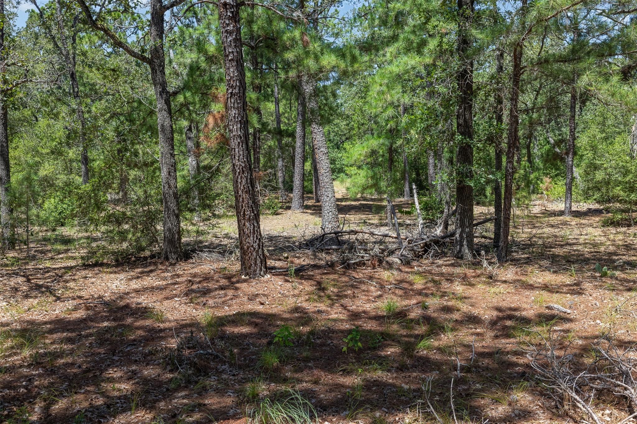 492 S Old Potato RD