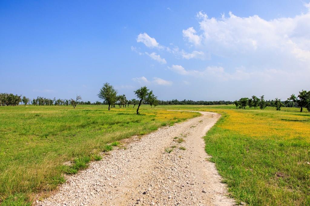 14087 Ranch Road 965 Highway