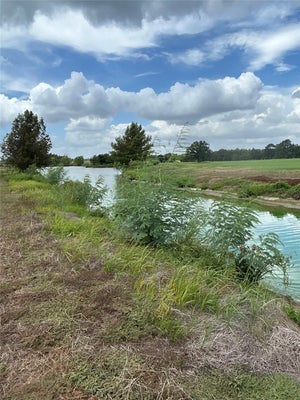 101 OLD POTATO RD, PAIGE, TX 78659 - Image 3a52aebccfe550f1ea68833556c97ff4/3033810340