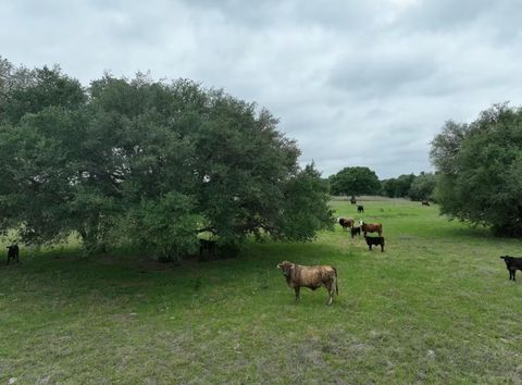 Photo of TBD Lot 2 County Road 127 RD, Ledbetter, TX 78946 (MLS # 6107975)