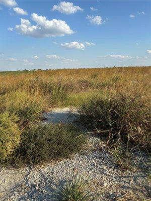305 COUNTY ROAD 134, BURLINGTON, TX 76519 - Image 3be3ab174add7a17cbf7bbb4328a26fb/69596002