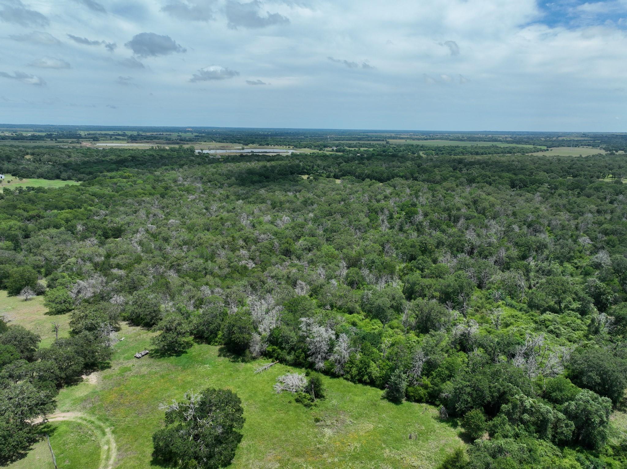 tbd Farm To Market 3233 RD
