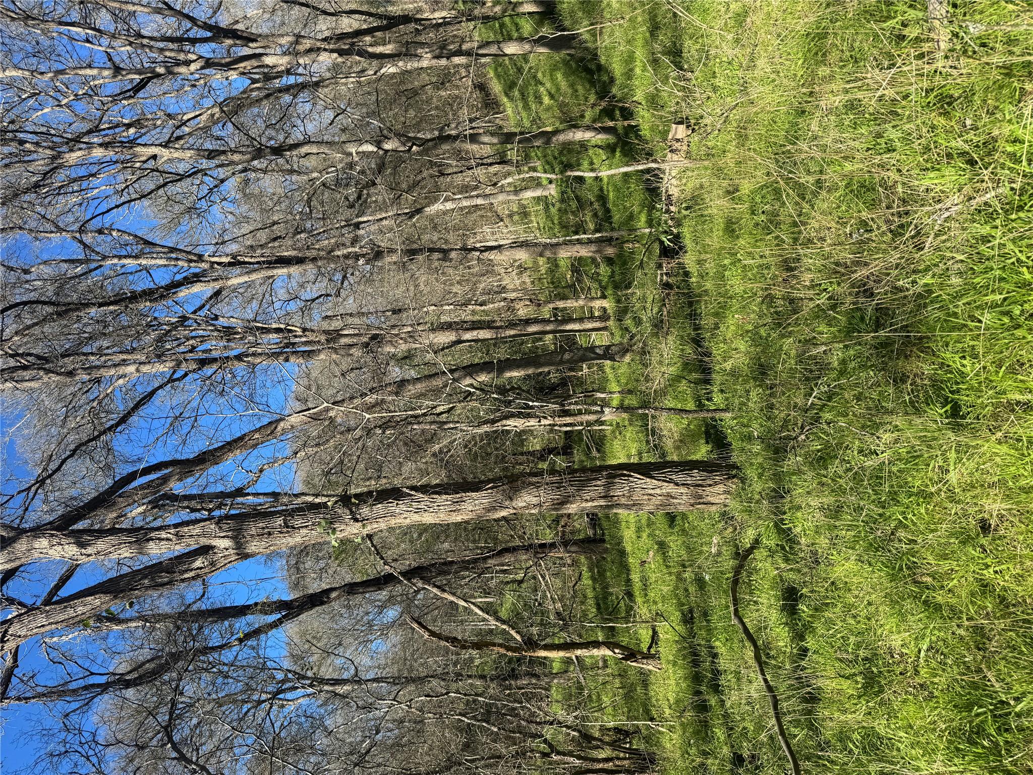 Lots 638. 639. 640 Kaukonahua LN