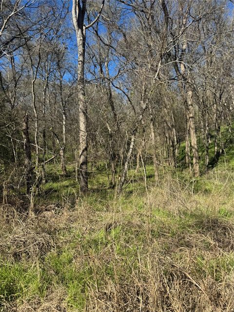 Photo of Lots 638. 639. 640 Kaukonahua LN, Bastrop, TX 78602 (MLS # 7076705)