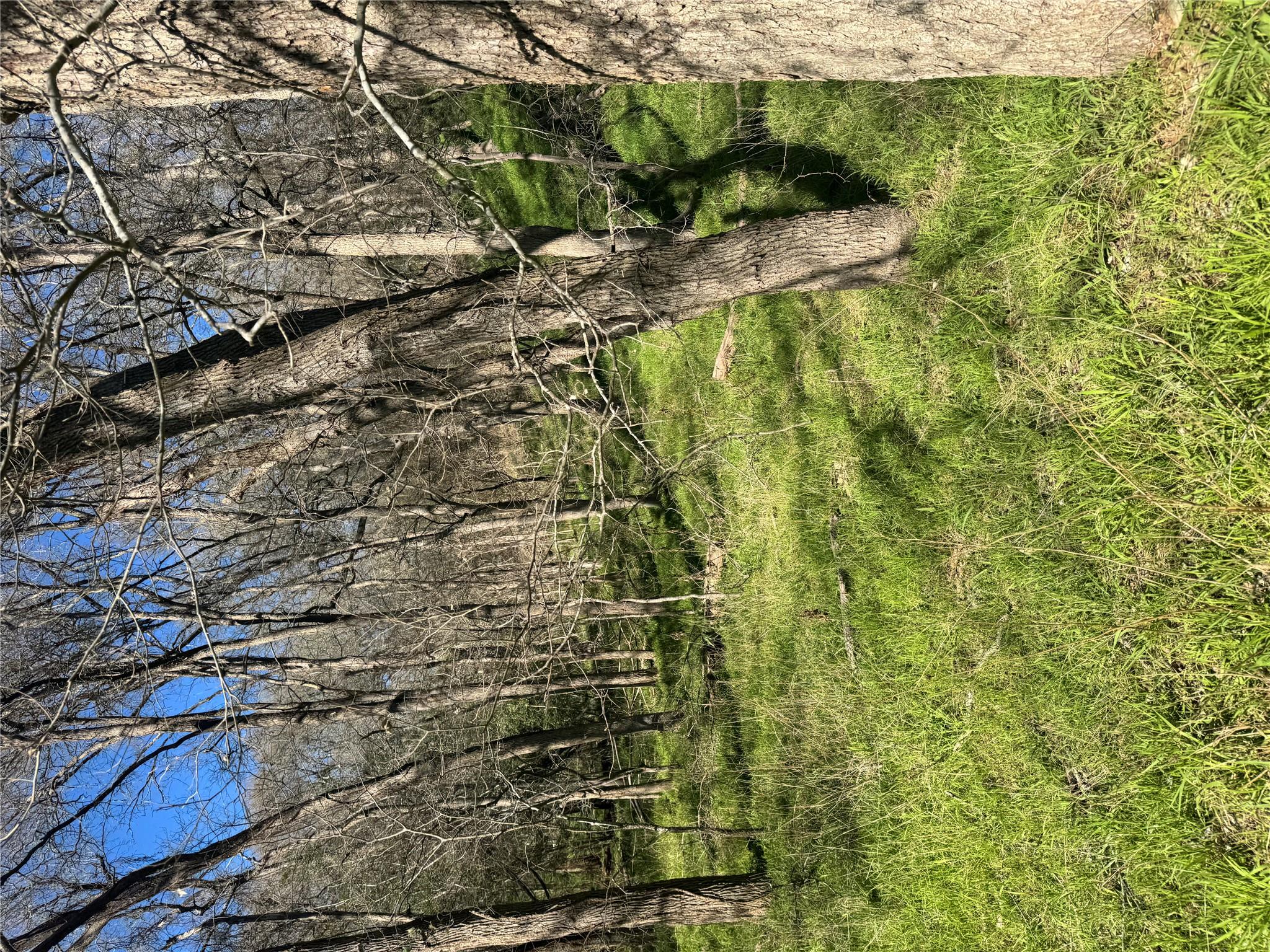 Lots 638. 639. 640 Kaukonahua LN