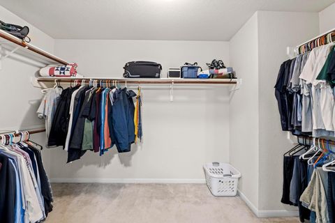 Tiny photo for 803 Windsor Hill DR, Pflugerville, TX 78660 (MLS # 4558843)