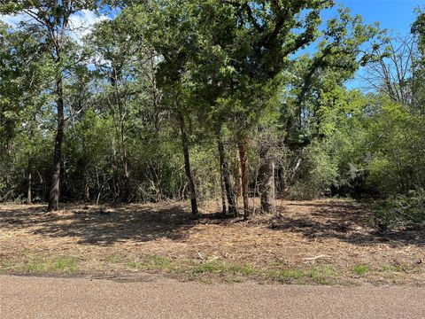 Photo of Lot 1 & 2 & 3 Old Lockhart RD, Plum, TX 78952 (MLS # 4595264)