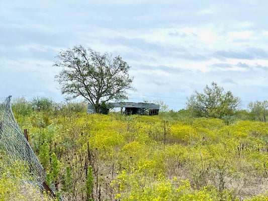 11604 MOORE RD, AUSTIN, TX 78719 - Image 3c726cbd00d2dbb9d3047d14bc1c3582/1101007977