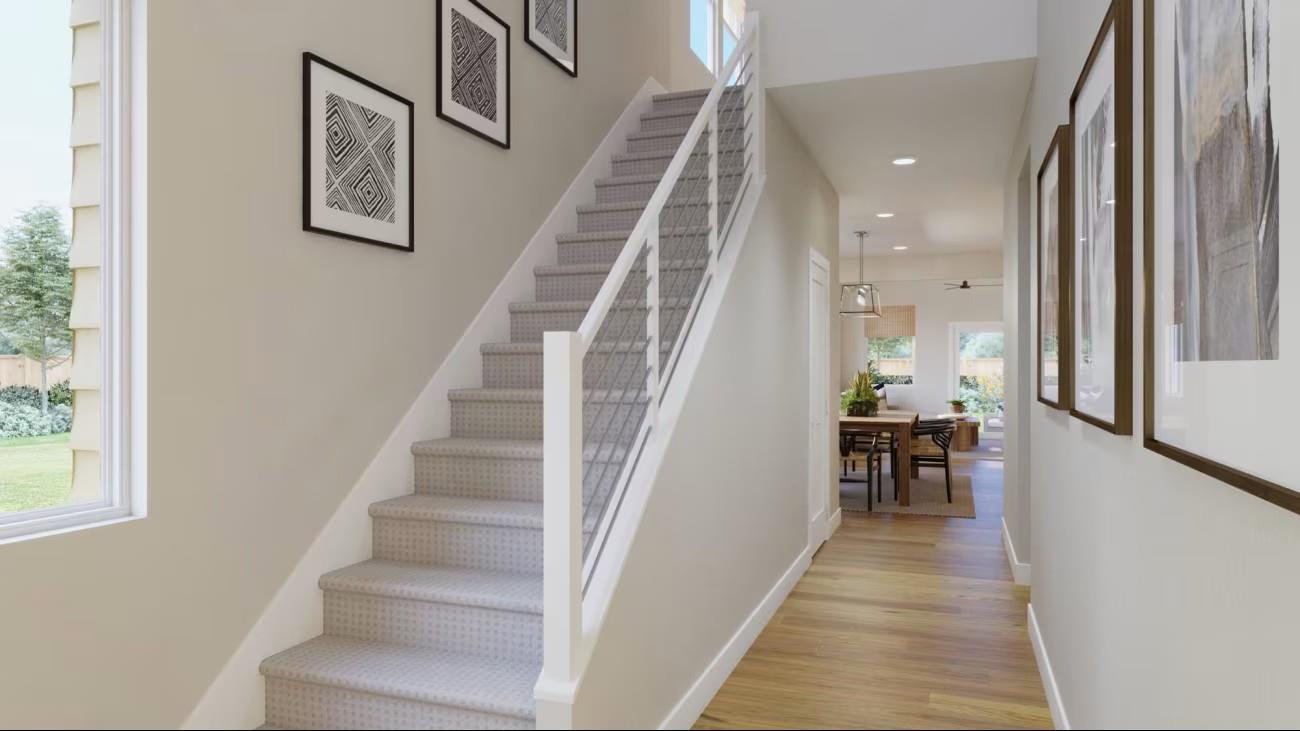 529 Bauer LOOP