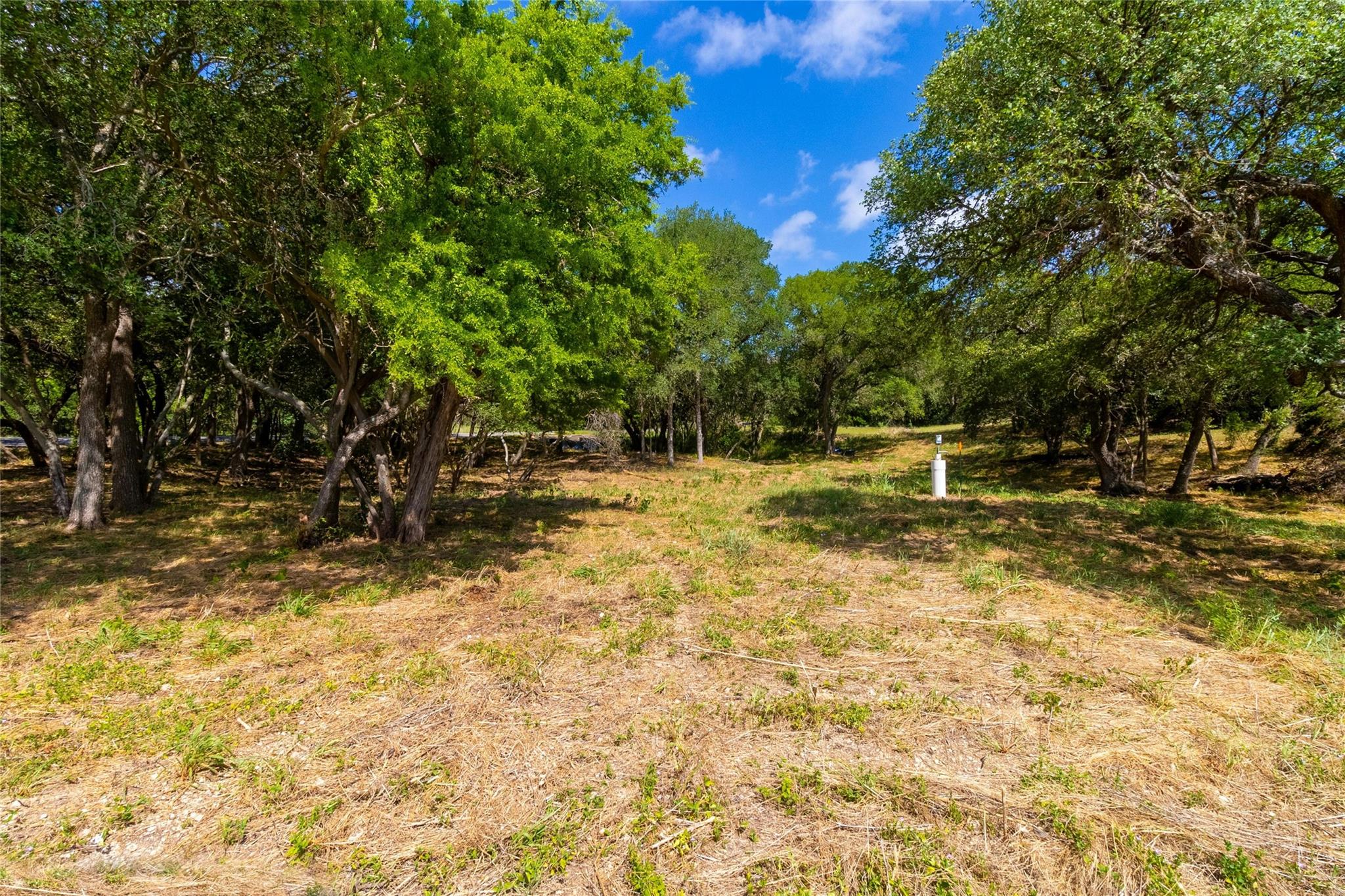 420 Blanco River Ranch RD