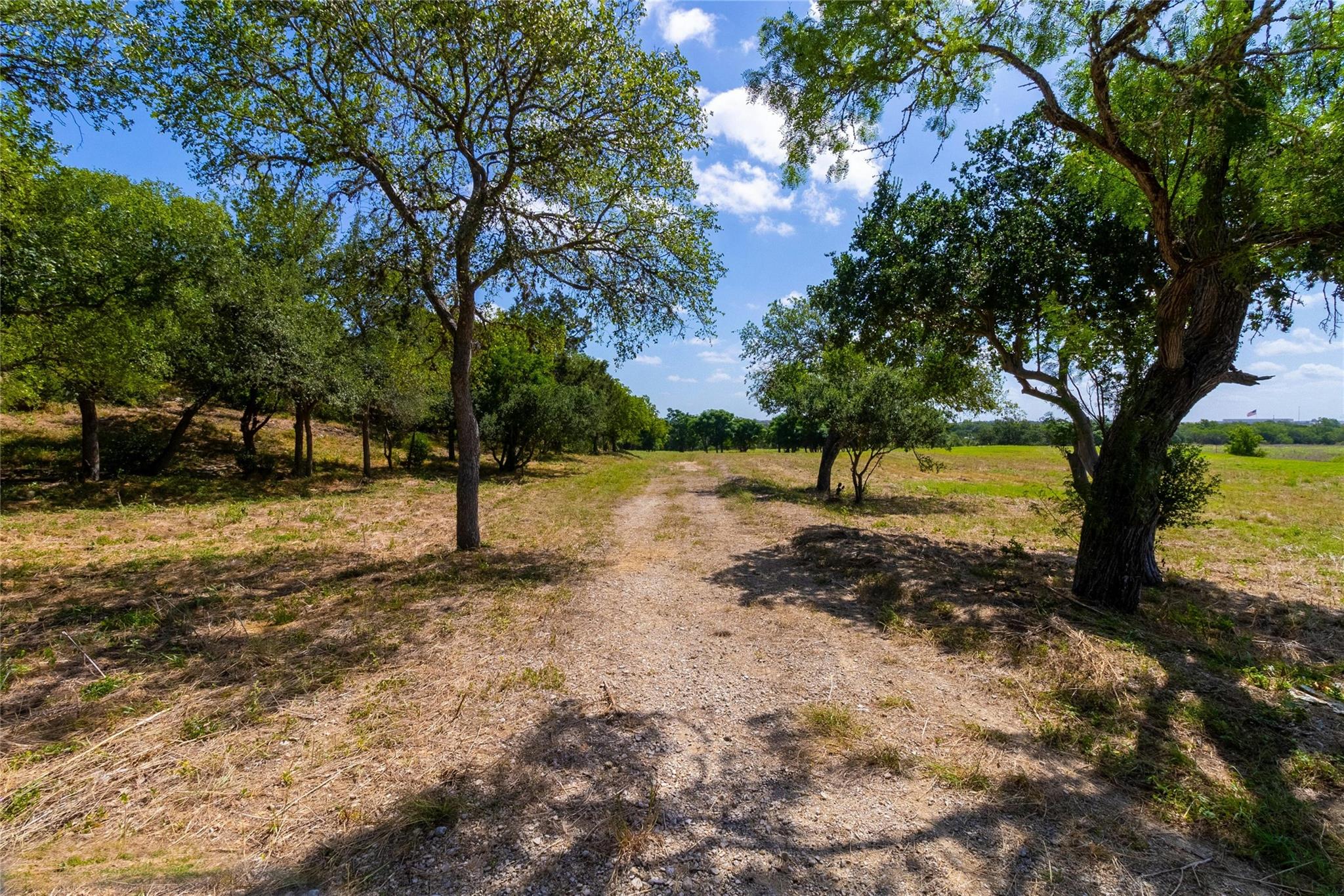 420 Blanco River Ranch RD