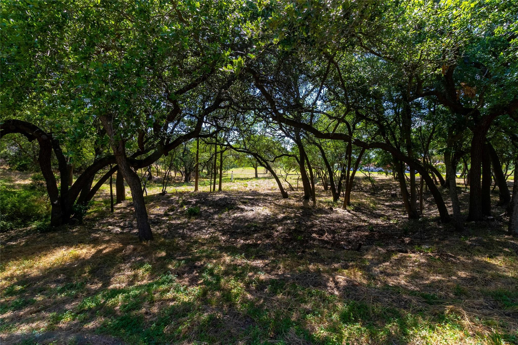 420 Blanco River Ranch RD