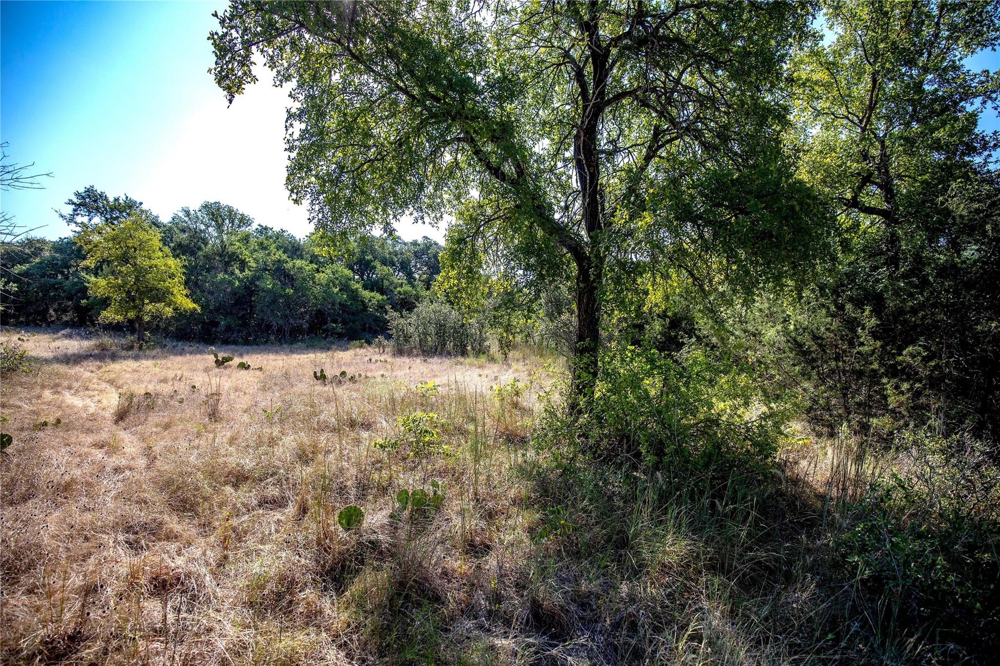 TBD River Run RD