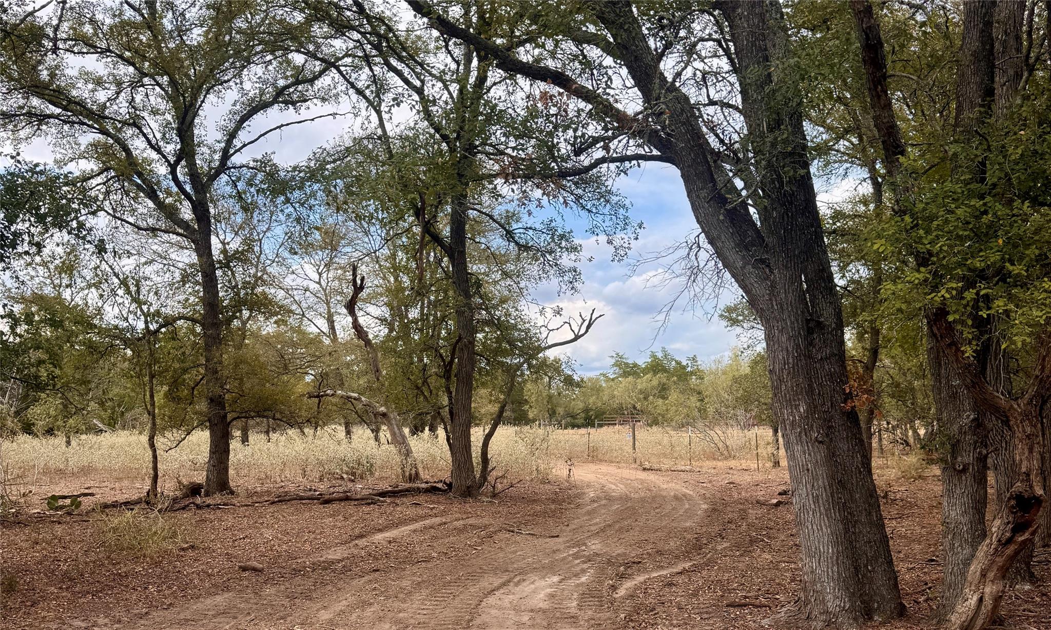12 Acres Mt Pleasant RD