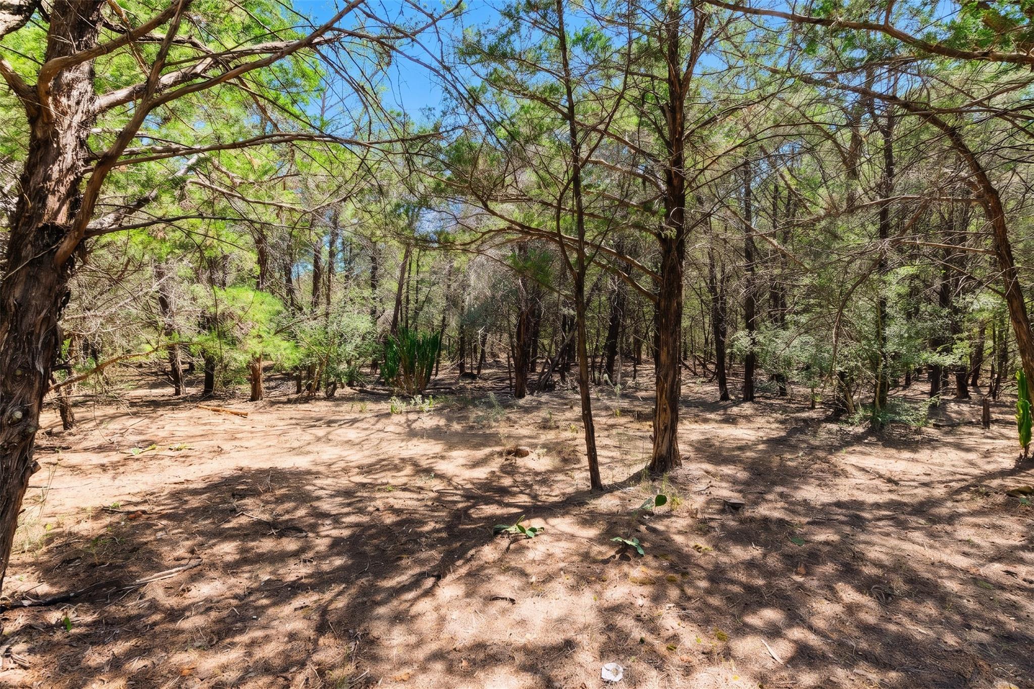 12 Acres Mt Pleasant RD