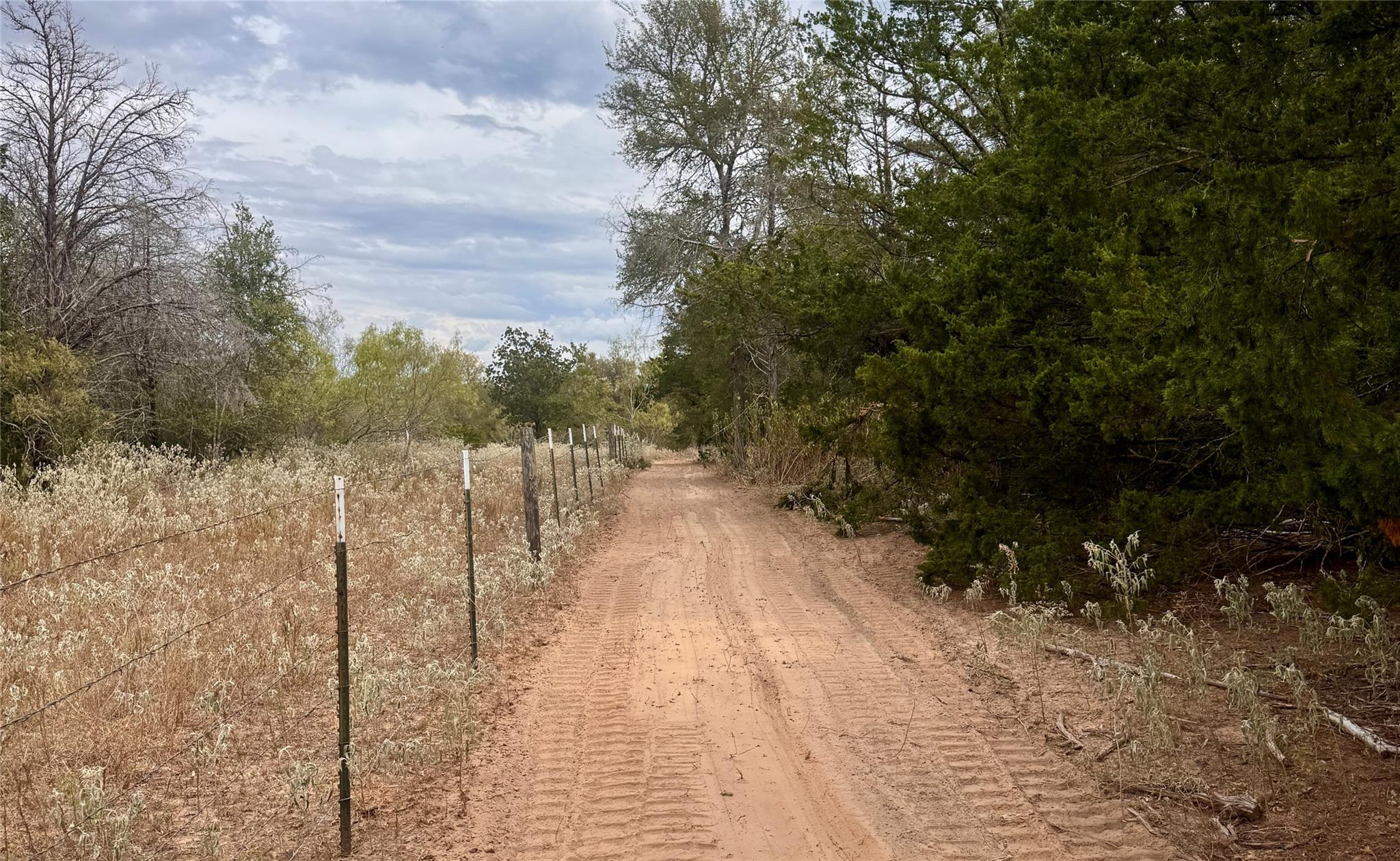 12 Acres Mt Pleasant RD