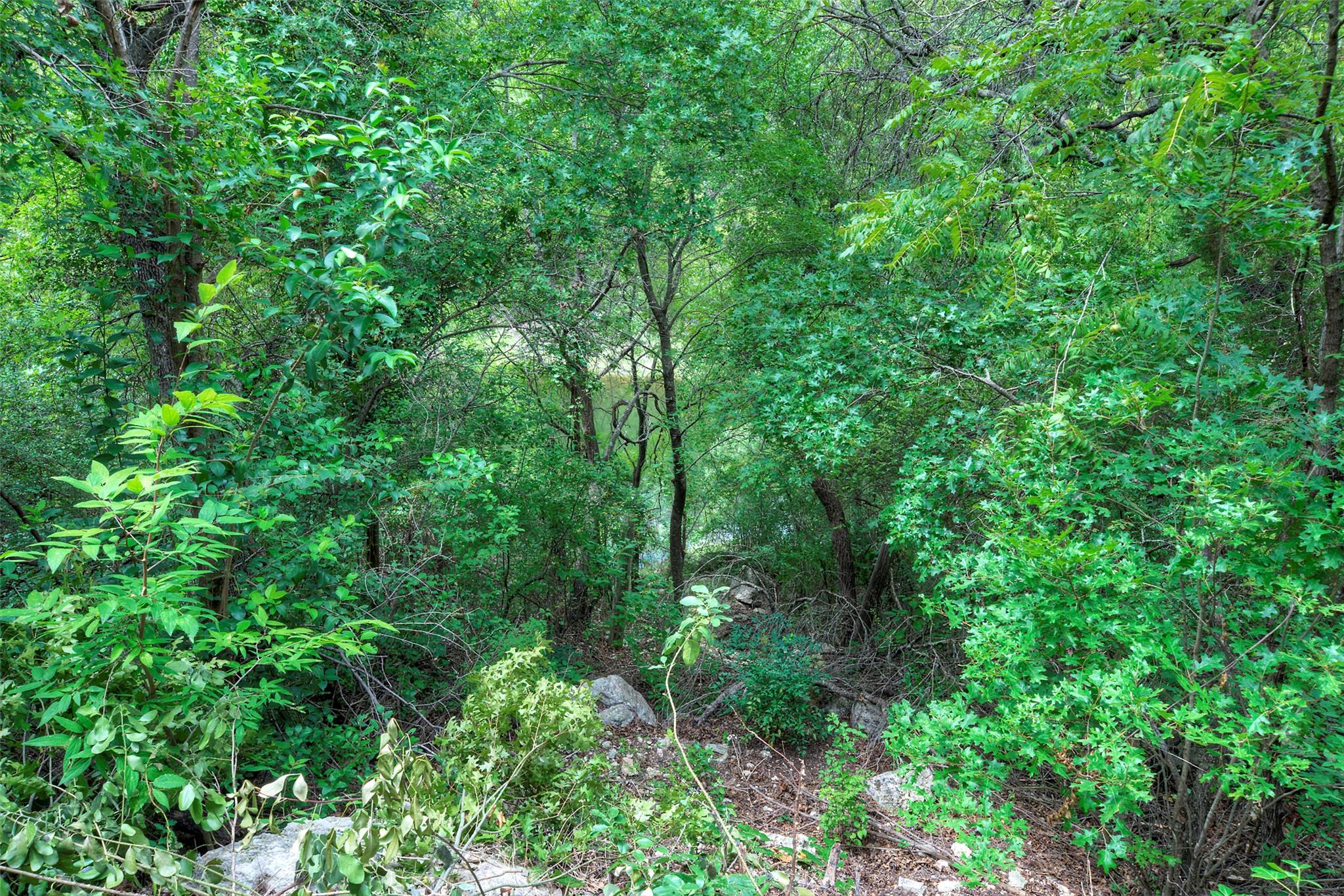 14704 Agarita PL