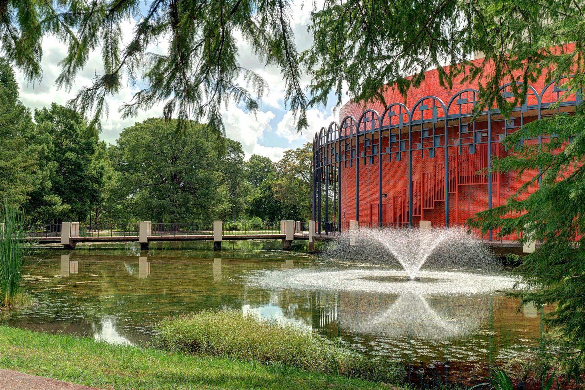 204 Knockout Rose DR