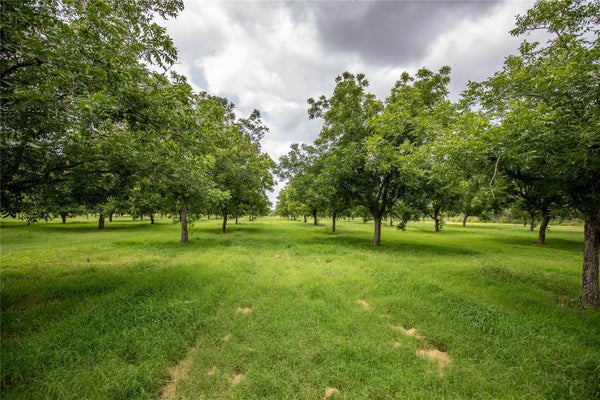 2432 COUNTY RD 402, FALFURRIAS, TX 78355 - Image 3f9fbd3dcd7aedd0b4ee732915dafad4/28370155