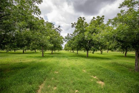 Photo of 2432 County Road 402 B, Falfurrias, TX 78355 (MLS # 4572691)