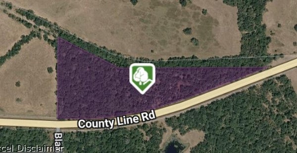 OSR, MADISONVILLE, TX 77864 - Image 3fcde2d809dc561bfb7a40f59bfc6cc4/547322575