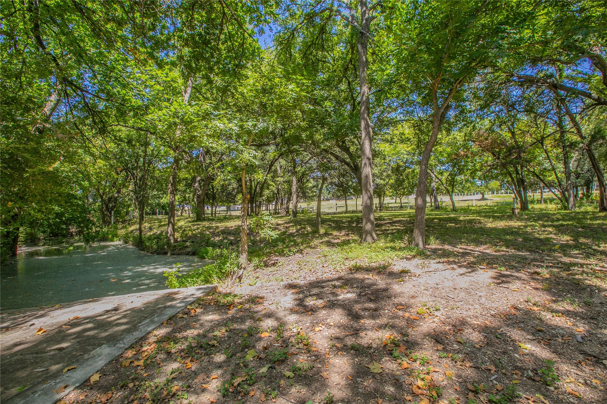 10299 Paddy Hamilton RD