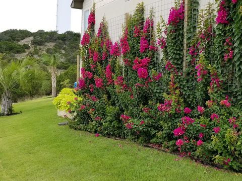 A home in Austin