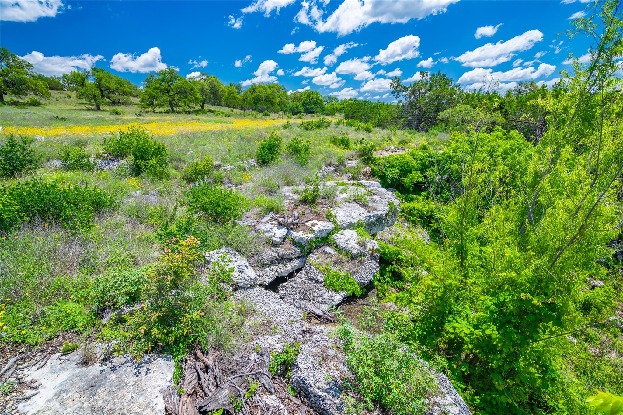262 Cuesta PASS