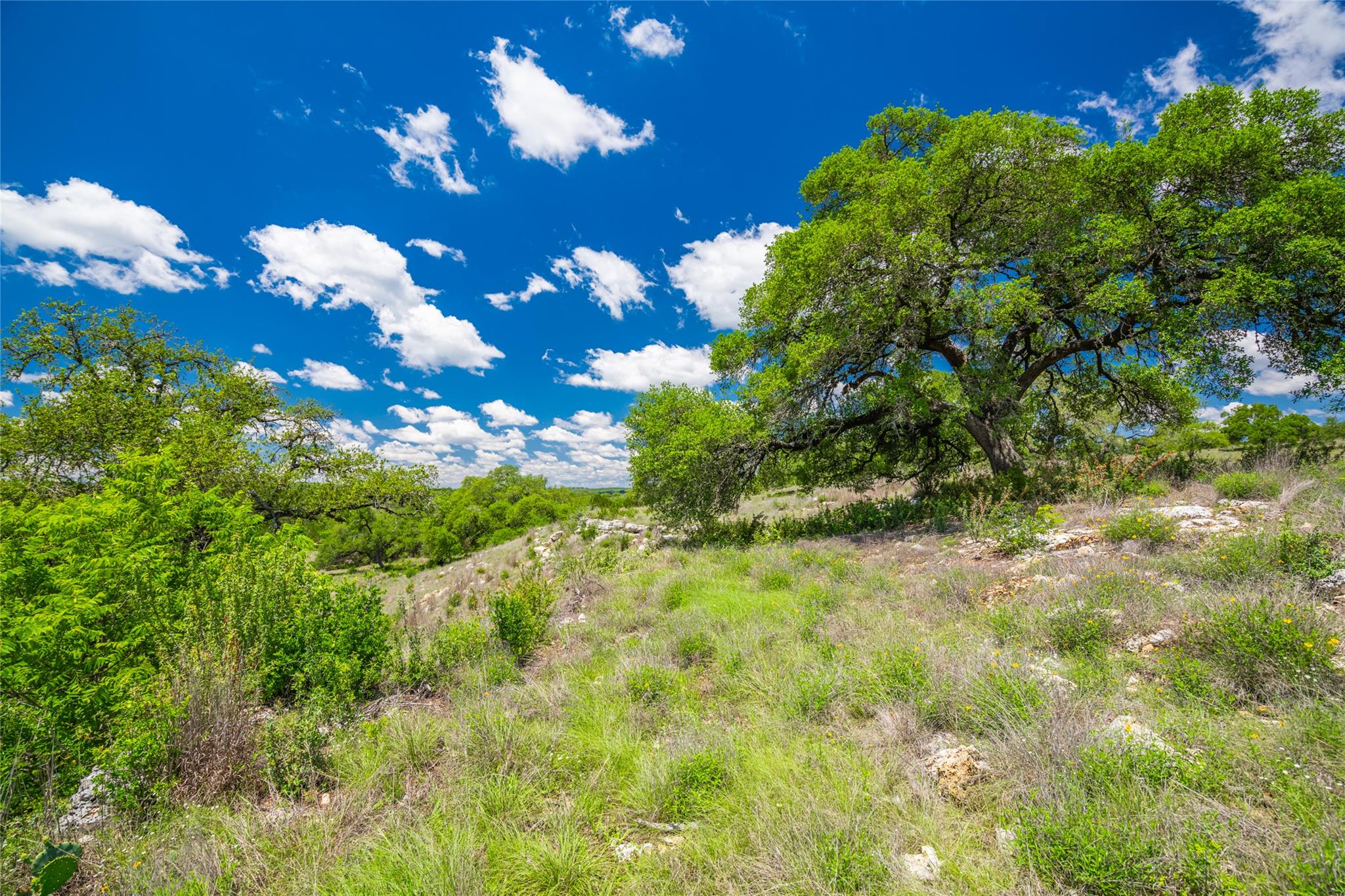 262 Cuesta PASS