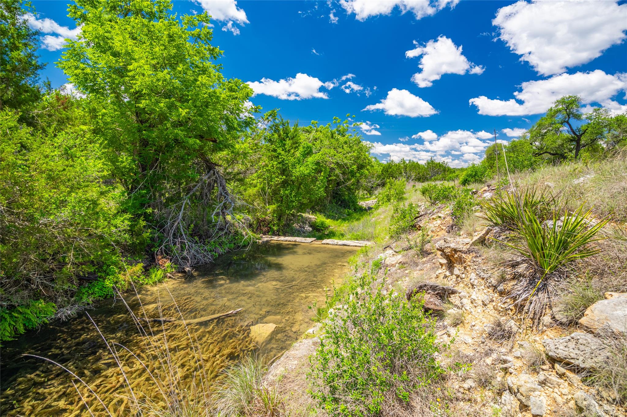 262 Cuesta PASS