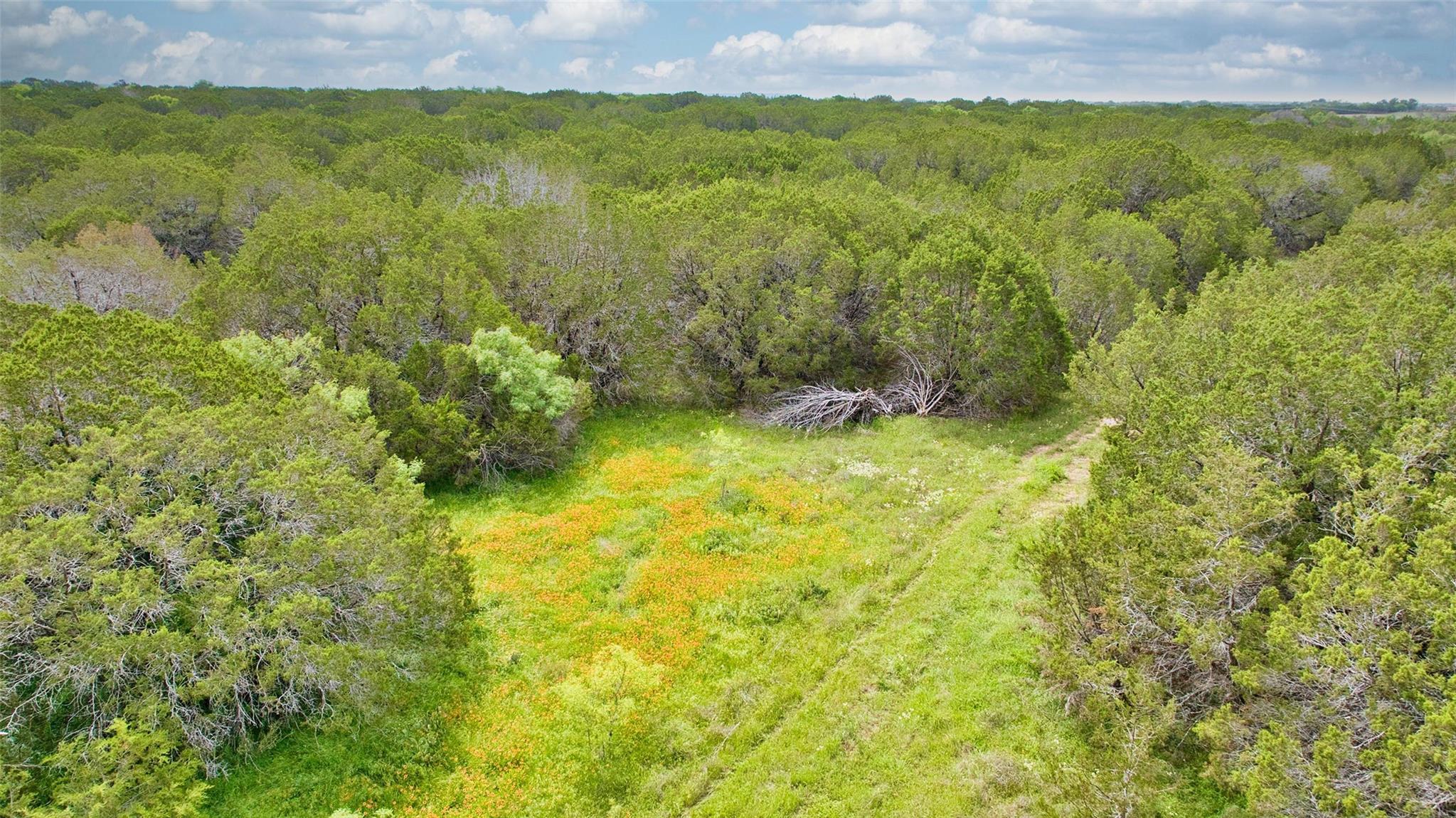 Lot 3, 5060 W. Hwy 190
