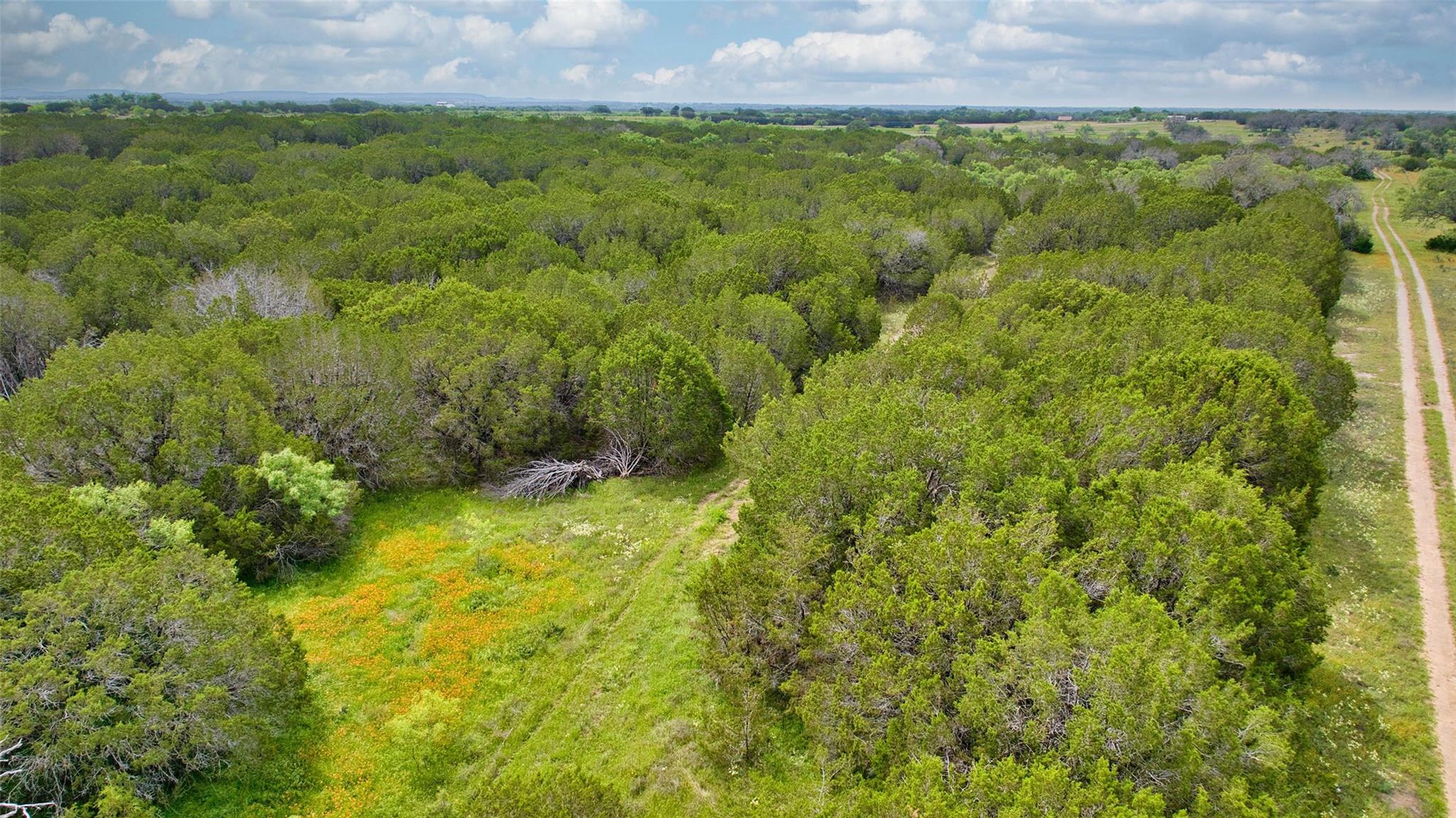 Lot 3, 5060 W. Hwy 190