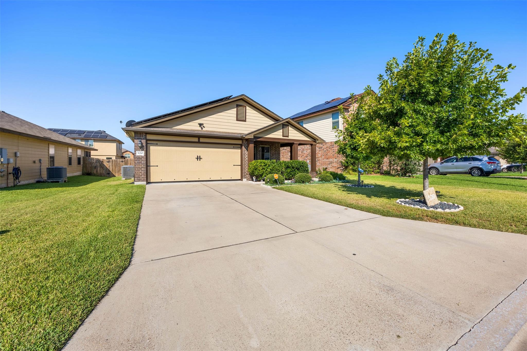 320 Ammonite LN