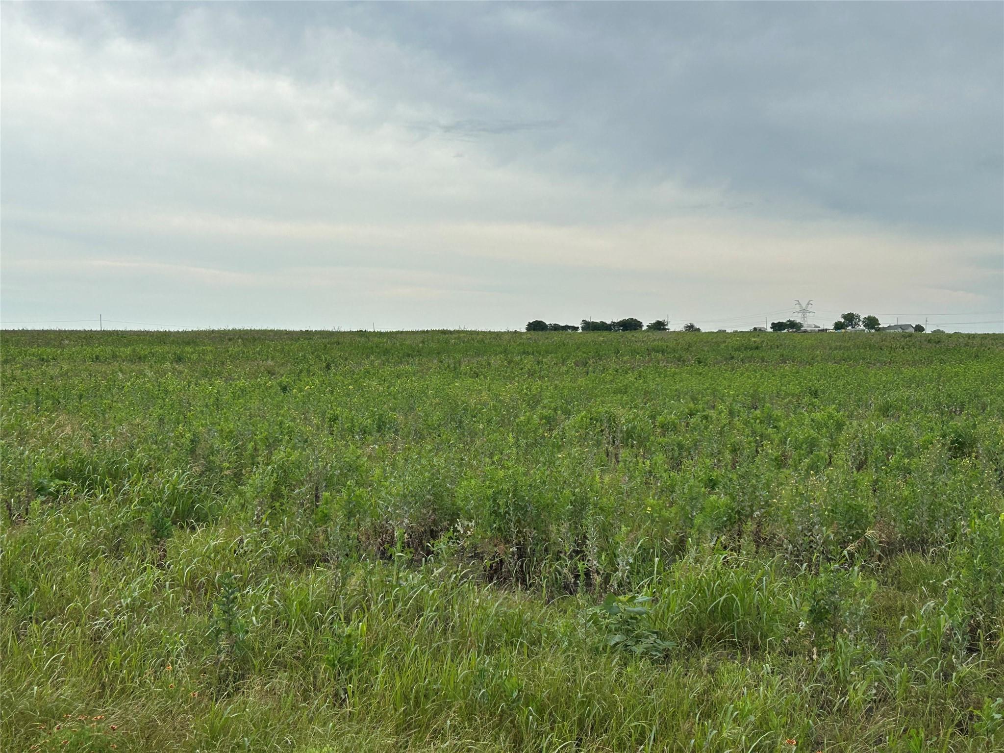 TBD Gooseneck RD