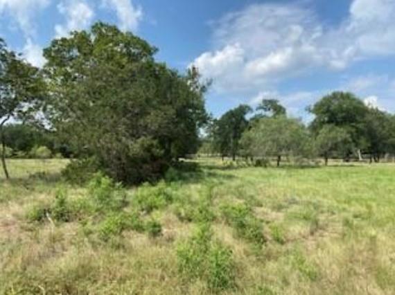 495 Buffalo Creek (Lot 95) DR