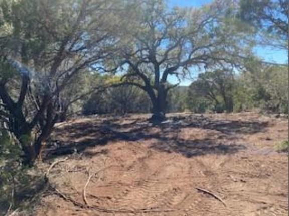 495 Buffalo Creek (Lot 95) DR