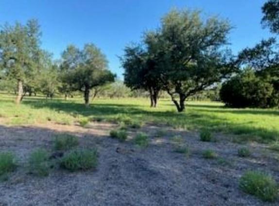 495 Buffalo Creek (Lot 95) DR