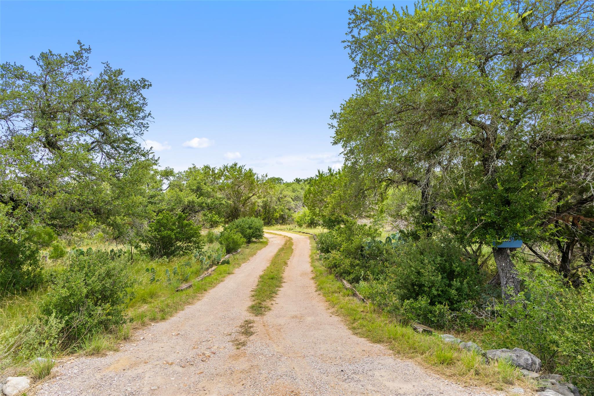 23809 Oscar RD