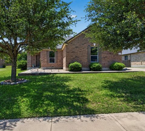 Photo of 1005 Lonesome Lilly WAY, Pflugerville, TX 78660 (MLS # 8381848)
