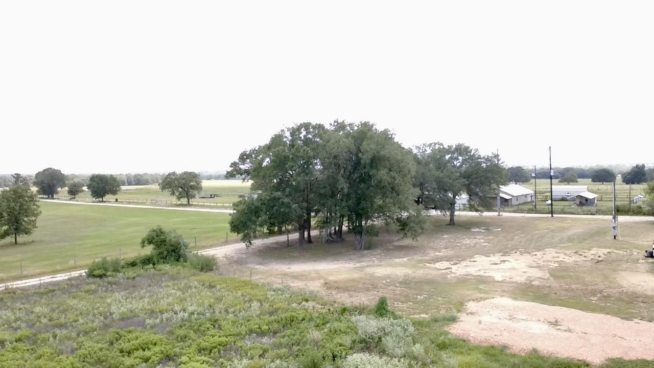 10901 County Road 367