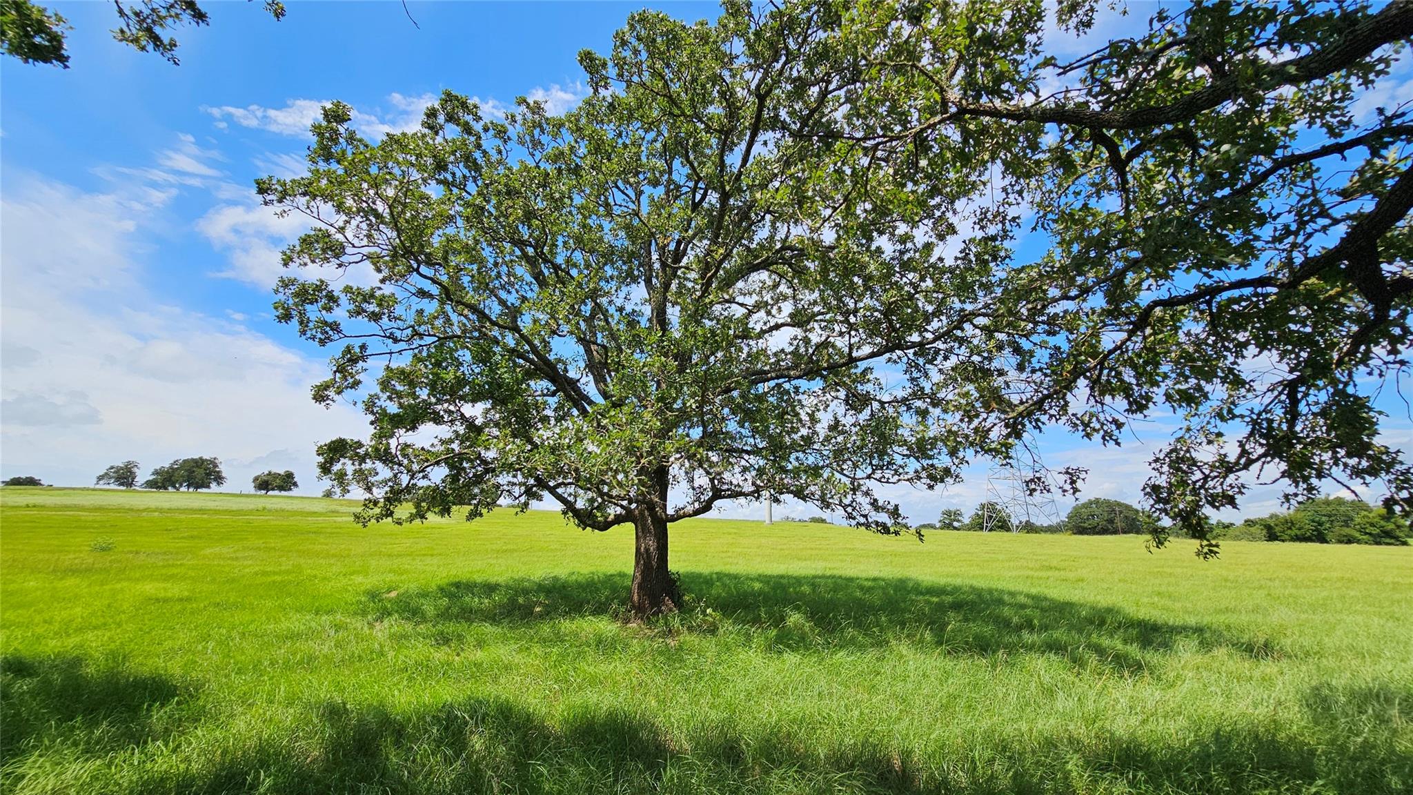 2055 CR 481 Tract 1