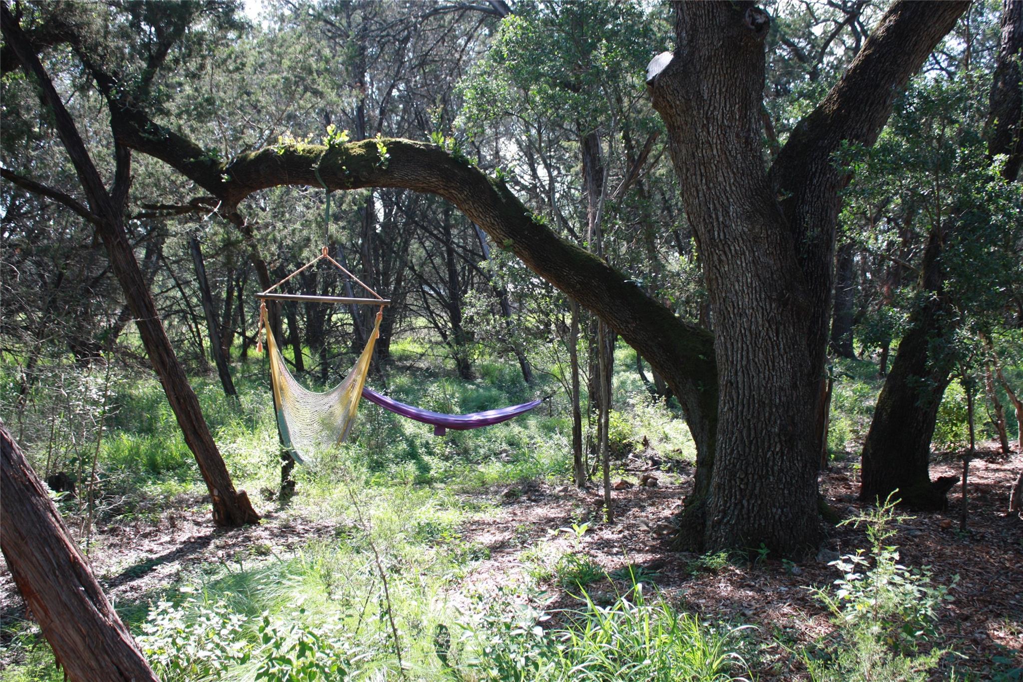 New Braunfels, Texas 78132, United States, 3 Bedrooms Bedrooms, ,2 BathroomsBathrooms,Residential,Pending,53986