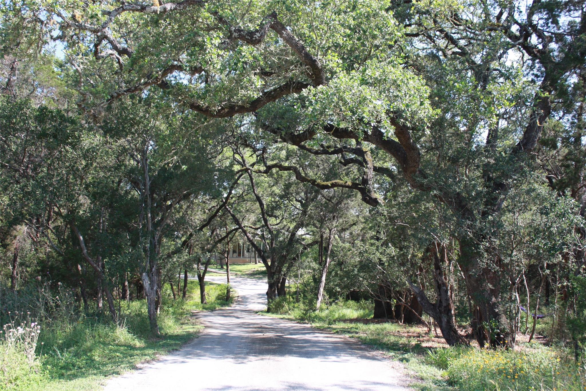 New Braunfels, Texas 78132, United States, 3 Bedrooms Bedrooms, ,2 BathroomsBathrooms,Residential,Pending,53986